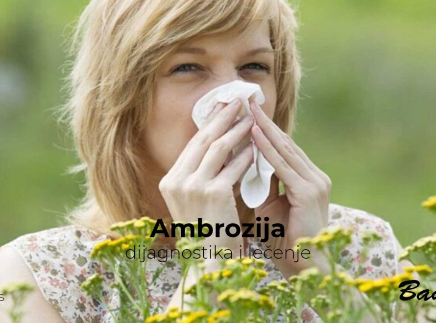 Ambrozija - dijagnostika i lečenje