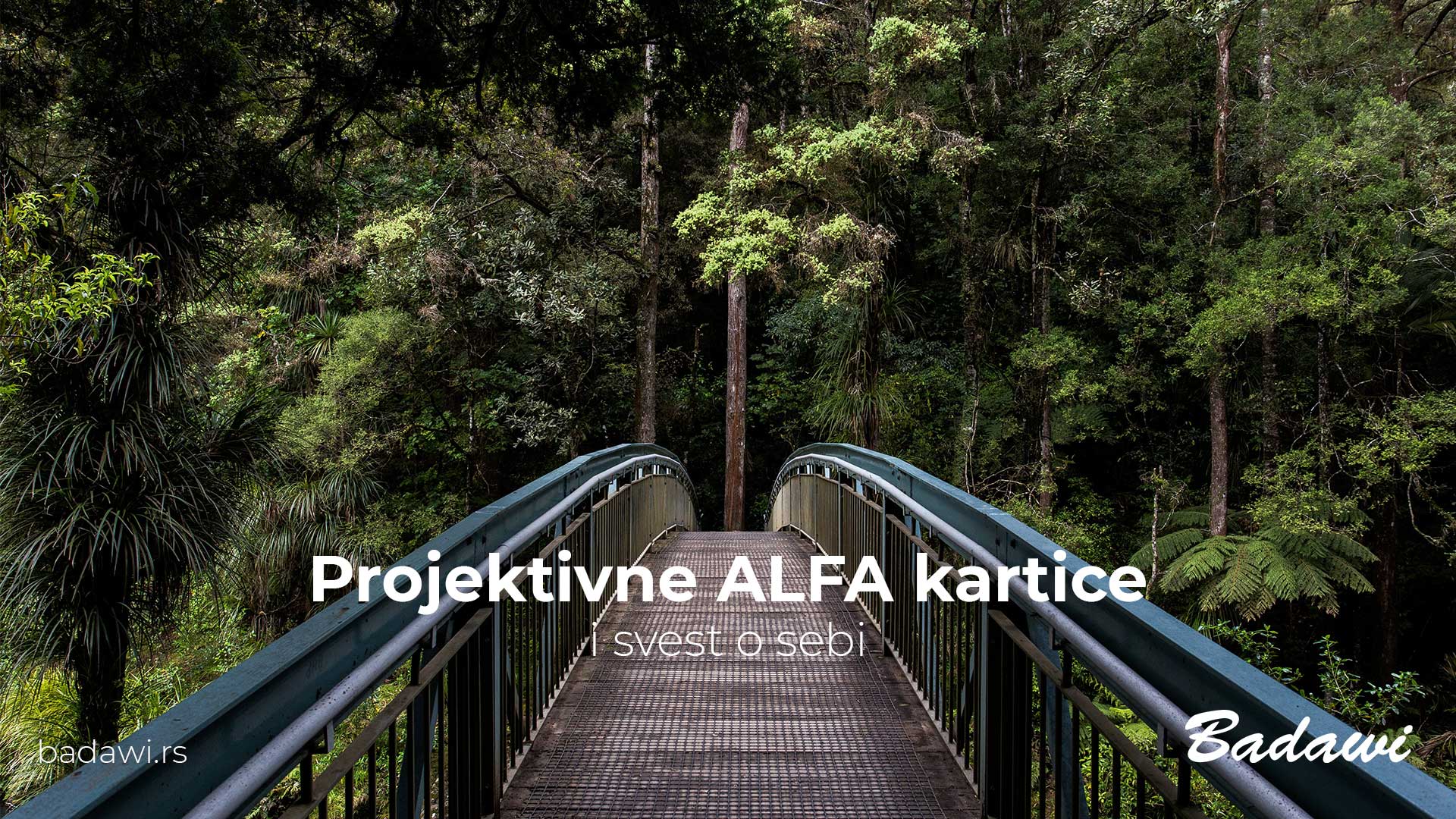Projektivne ALFA kartice i svest o sebi