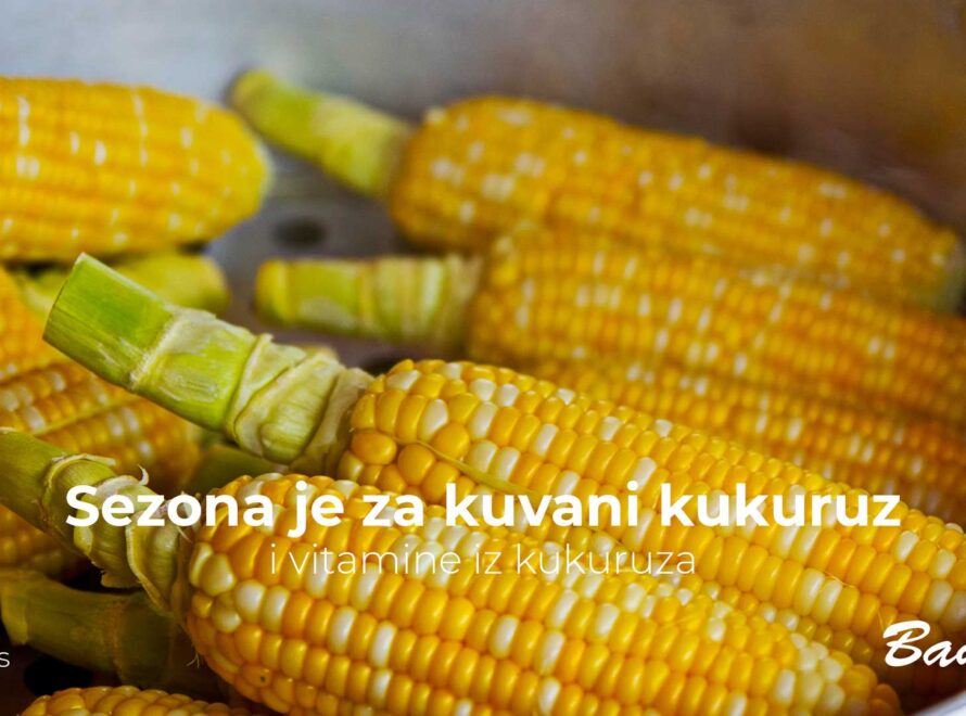 Sezona je za kuvani kukuruz i vitamine iz kukuruza