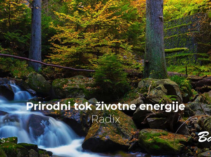 Prirodni tok životne energije - Radix