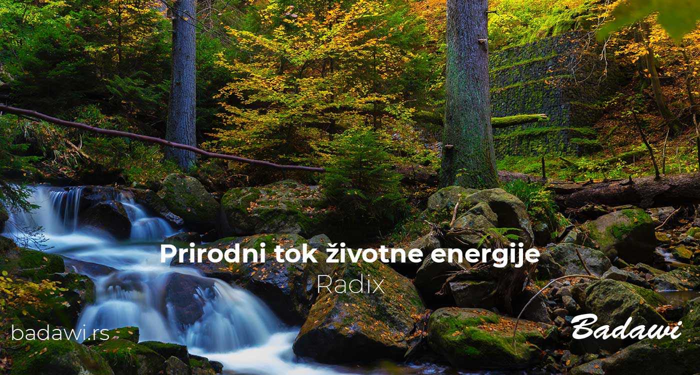 Prirodni tok životne energije - Radix