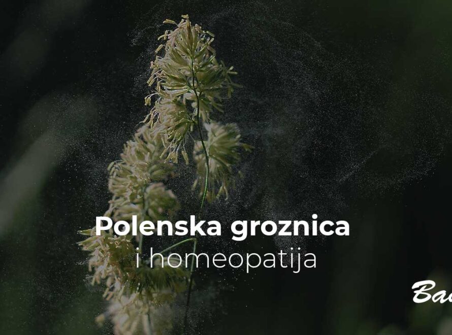 Polenska groznica i homeopatija