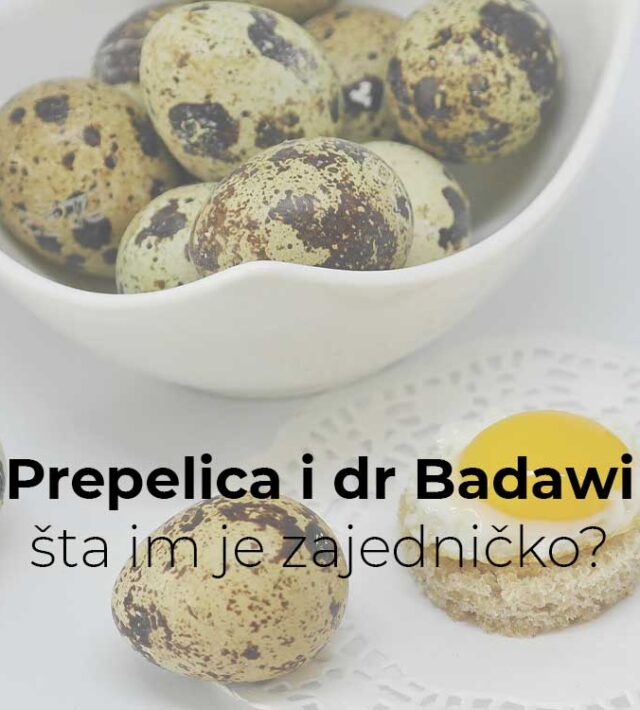 Prepelica i dr Badawi, šta im je zajedničko?
