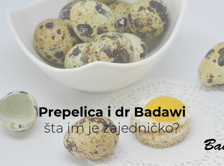 Prepelica i dr Badawi, šta im je zajedničko?