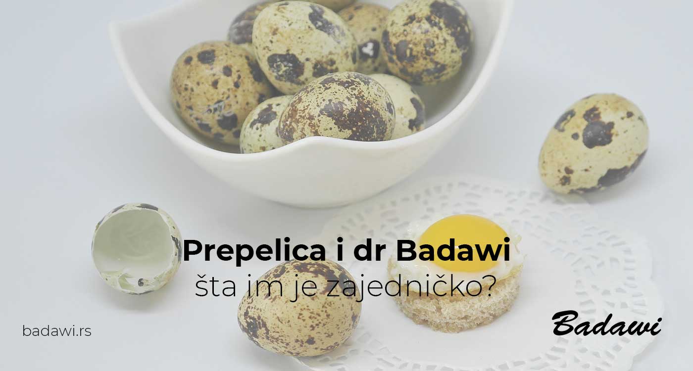 Prepelica i dr Badawi, šta im je zajedničko?