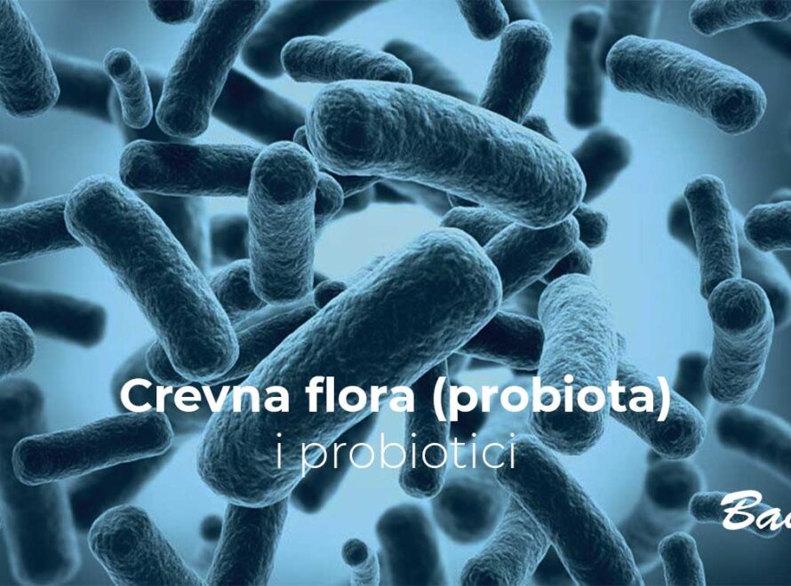 Crevna flora i probiotici
