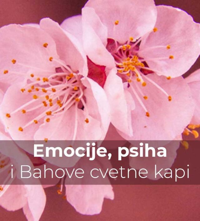 Emocije, psiha i Bahove cvetne kapi