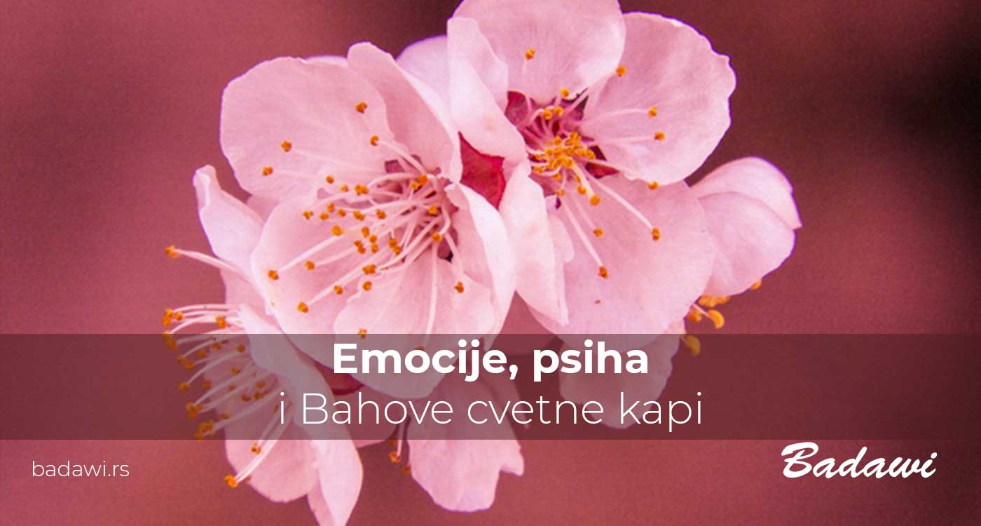 Emocije, psiha i Bahove cvetne kapi