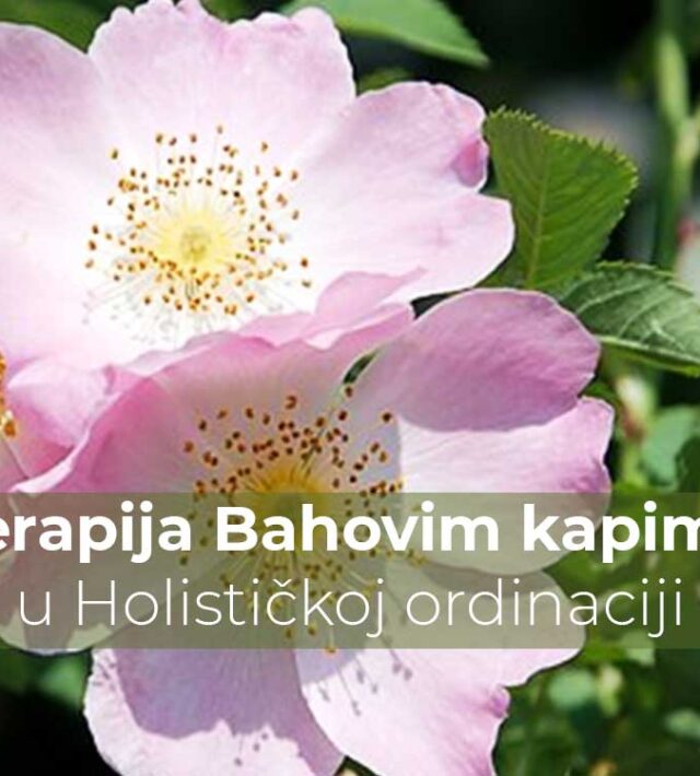 Terapija Bahovim kapima u Holističkoj ordinaciji