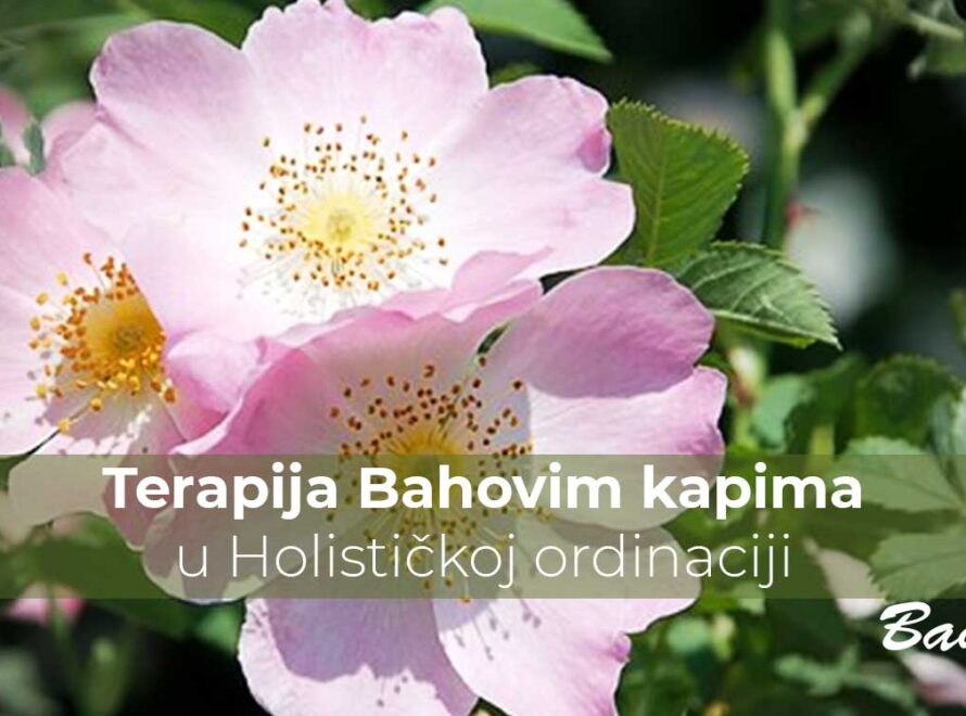 Terapija Bahovim kapima u Holističkoj ordinaciji