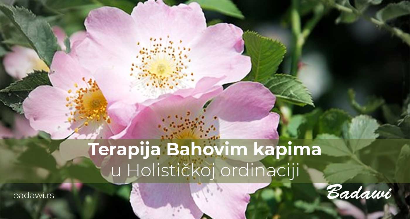 Terapija Bahovim kapima u Holističkoj ordinaciji
