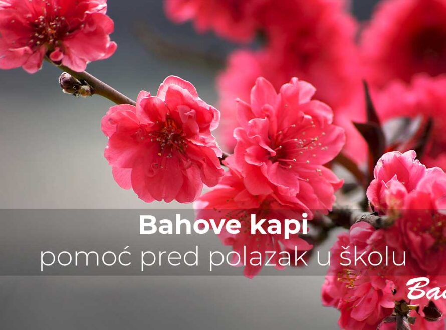 Bahove kapi – pomoć pred polazak u školu | Poliklinika Badawi