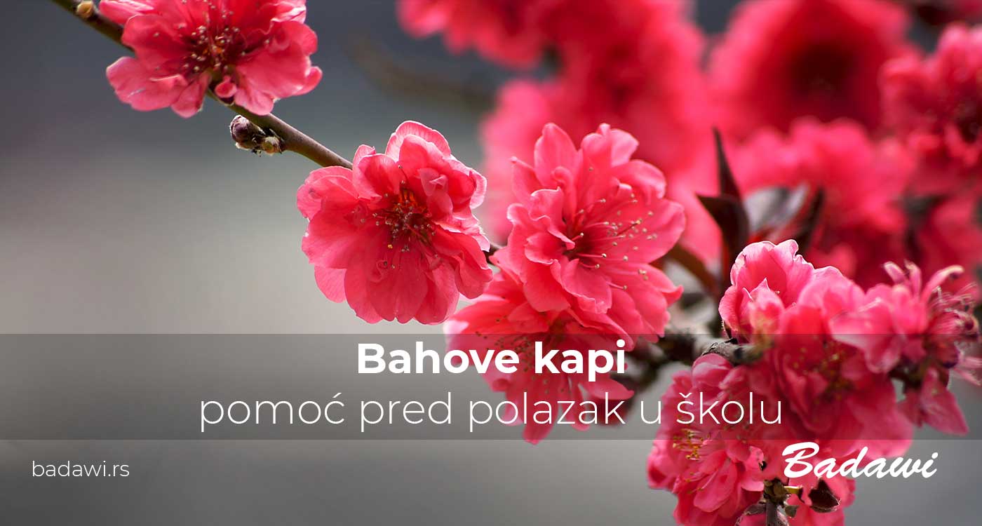 Bahove kapi – pomoć pred polazak u školu | Poliklinika Badawi