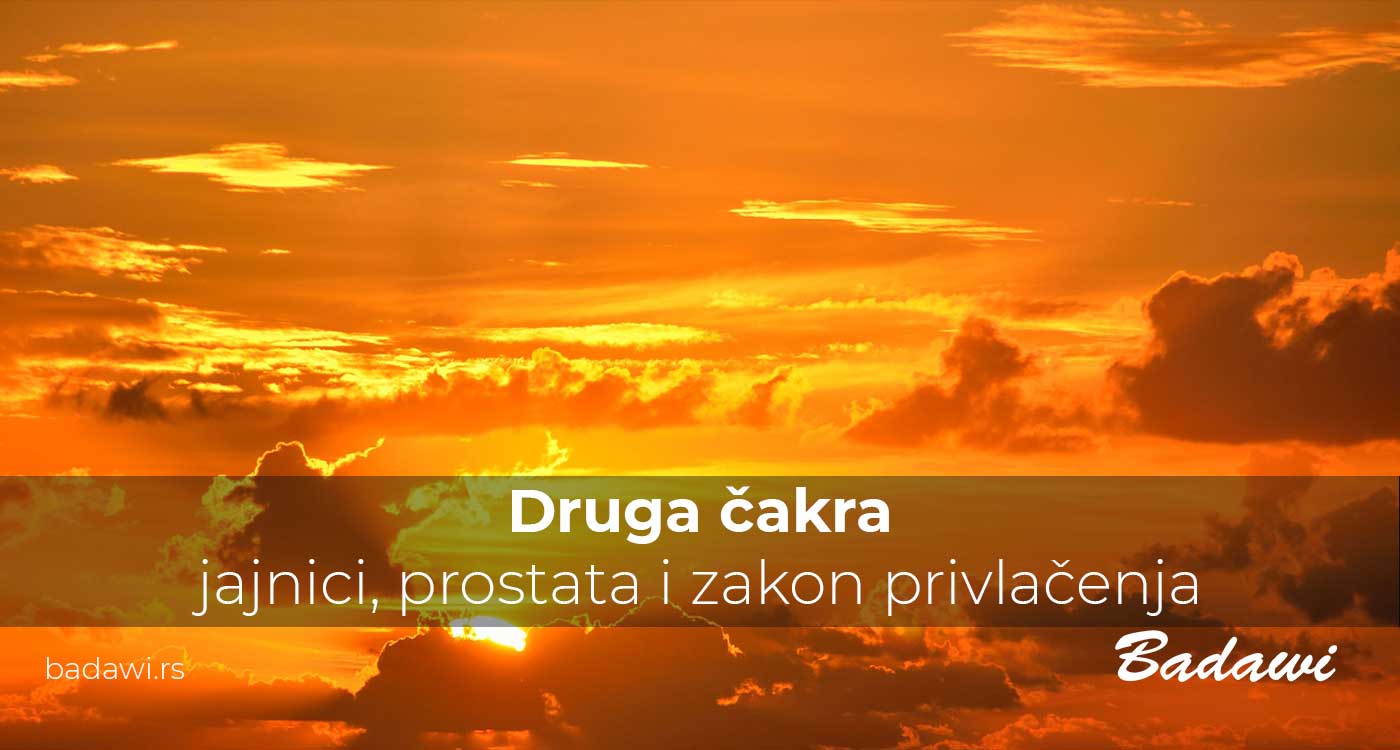 Druga čakra, jajnici, prostata i zakon privlačenja | Poliklinika Badawi