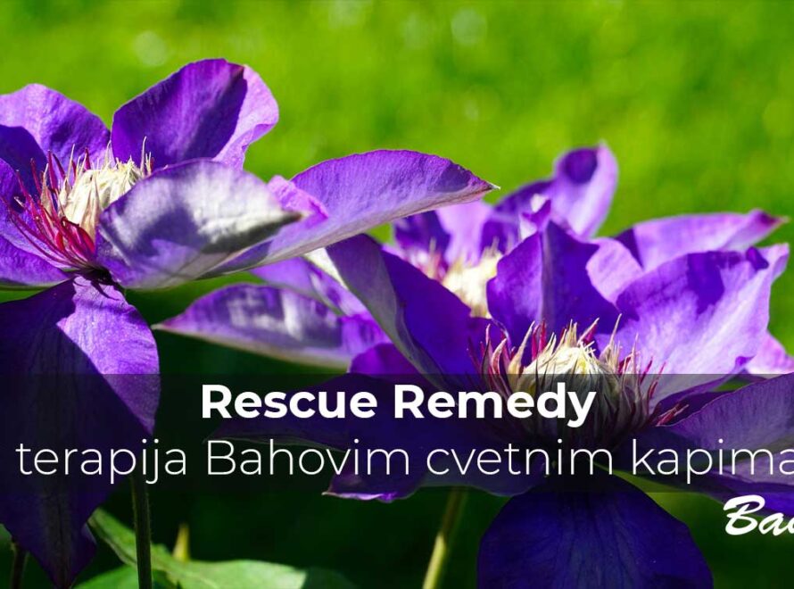 Rescue Remedy i terapija Bahovim cvetnim kapima | Poliklinika Badawi