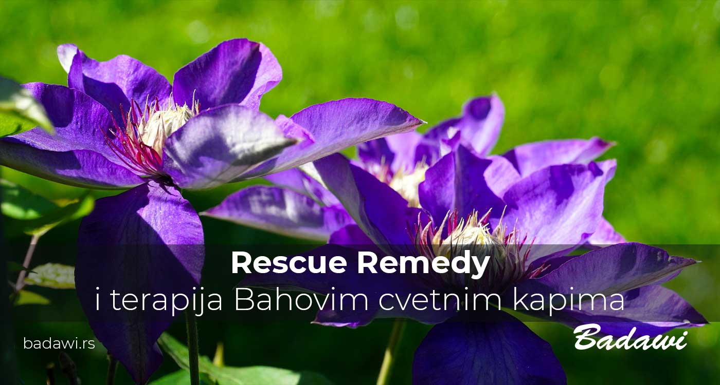 Rescue Remedy i terapija Bahovim cvetnim kapima | Poliklinika Badawi