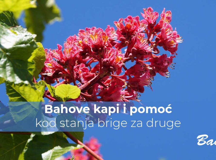 Bahove kapi i pomoć kod stanja brige za druge | Poliklinika Badawi