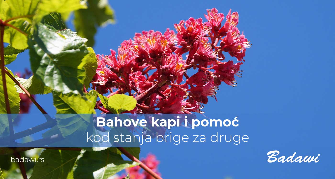 Bahove kapi i pomoć kod stanja brige za druge | Poliklinika Badawi