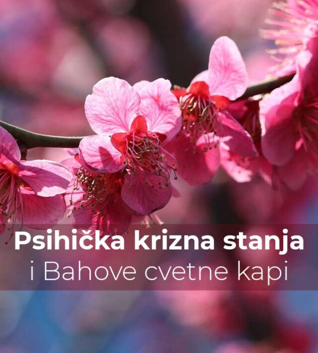 Psihička krizna stanja i Bahove cvetne kapi | Poliklinika Badawi