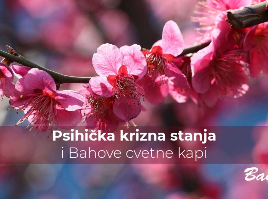 Psihička krizna stanja i Bahove cvetne kapi | Poliklinika Badawi