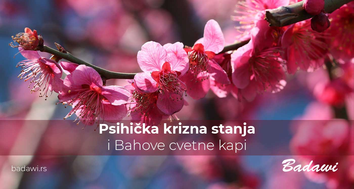 Psihička krizna stanja i Bahove cvetne kapi | Poliklinika Badawi