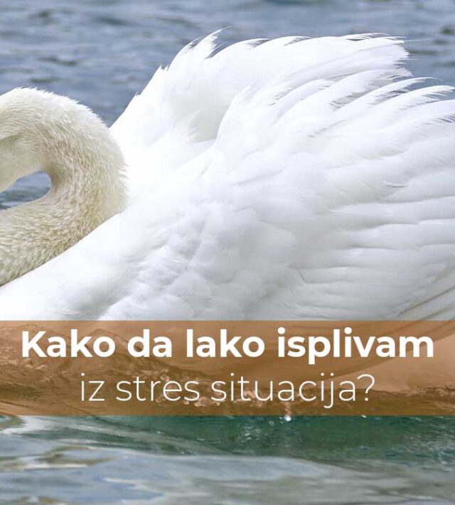 Kako da lako isplivam iz stres situacija? | Poliklinika Badawi
