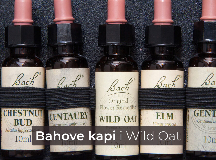Bahove kapi i Wild Oat • Poliklinika Badawi
